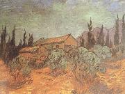 Vincent Van Gogh Wooden Sheds (nn04) oil painting on canvas
